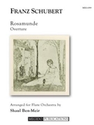 Rosamunde Overture by Schubert Franz - Ben-Meir Shaul - for