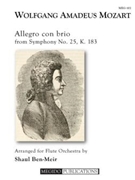 Allegro con brio from Symphony No. 25 K. 183 by Mozart Wolfgang Amadeus - Ben-Meir Shaul - for
