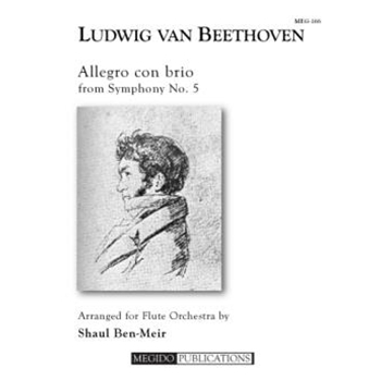 Allegro con brio from Symphony No. 5 for Flute Orchestra