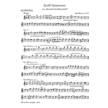 12 Variationen uber "Nun laube Lindlein laube" fur Recorder Quartet oder andere Instrumente op. 53 by Marx Karl for