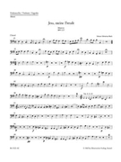 Jesu meine Freude for five-part Mixed choir E minor BWV 227 -Motet- by Bach Johann Sebastian for