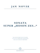 Sonata super Hoson zes... for Violin or Flute and Piano -fidibus acutis aut tibia obliqua et clavibu by Novak Jan for V(Fl)/Pian