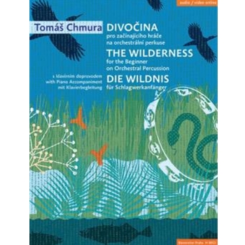 The Wilderness for the Beginner on Orchestral Percussion