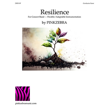 "Resilience" (flex-version) score only