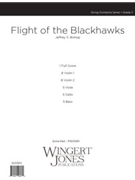 Flight of the Blackhawks