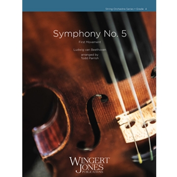 Symphony No. 5 First Movement