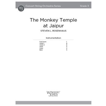The Monkey Temple at Jaipur