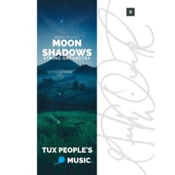 Moon Shadows