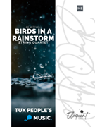 Birds in a Rainstorm