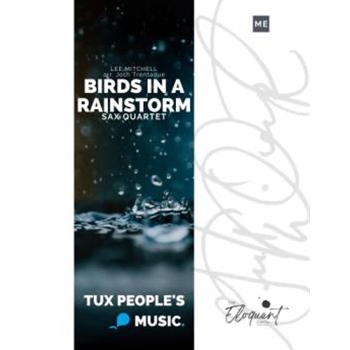 Birds in a Rainstorm