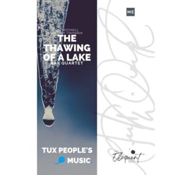 The Thawing of a Lake