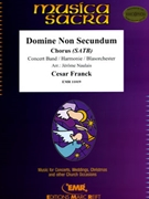 Domine Non Secundum by Franck Cesar - Naulais Jerome - for Concert Band - Blasorchester - Harmonie (Concert Band - Blasorchester - Harmonie (+ Chorus SATB))