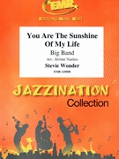 You Are The Sunshine Of My Life by Wonder Stevie - Naulais Jerome - for Big Band (Big Band)