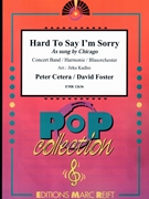 Hard To Say I'm Sorry by Cetera and Foster - Jirka Kadlec - for Concert Band - Blasorchester - Harmonie (Concert Band - Blasorchester - Harmonie)