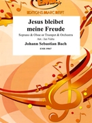 Jesus bleibet meine Freude by Bach Johann Sebastian - Valta Jan - for Soprano Trumpet and Orchestra (Soprano Trumpet and Orchestra)