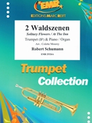 2 Waldszenen by Schumann Robert - Mourey Colette - for Trumpet and Organ (Trumpet and Organ)