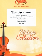 The Sycamore by Joplin Scott - Jirka Kadlec - for String Orchestra (String Orchestra (Piano / Guitar Bass Guitar Drums Percussion (optional)))