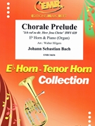 Chorale Prelude by Bach Johann Sebastian - Walter Hilgers - for Eb Horn and Organ (Eb Horn and Organ)