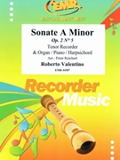 Sonate A Minor by Valentino Roberto - Peter Reichert - for Tenor Recorder and Organ (Tenor Recorder and Organ)