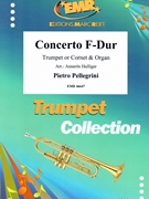 Concerto F-Dur by Pellegrini Pietro - Hulliger Anneros - for Trumpet and Organ (Trumpet and Organ)