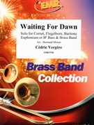 Waiting For Dawn by Vergere Cedric for Flugelhorn and Brass Band (Flugelhorn and Brass Band)