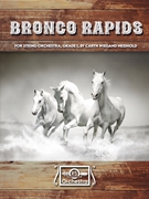 Bronco Rapids