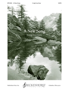 New Song