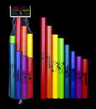 Boomwhackers Diatonic Set of 8 for Instr (Upper Octave - 8 Note)