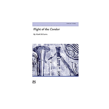 Flight Of The Condor