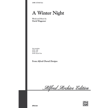Winter Night