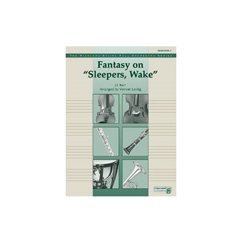 Fantasy On sleepers, Wake