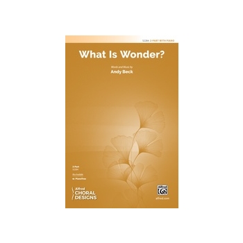 What Is Wonder?