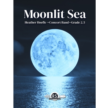 Moonlit Sea
