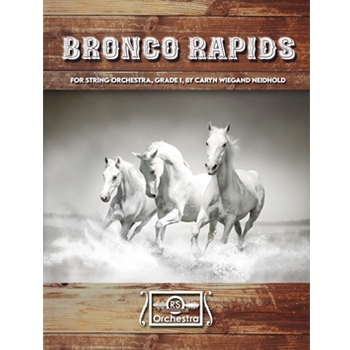 Bronco Rapids