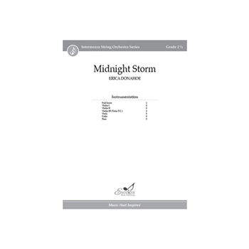 Midnight Storm