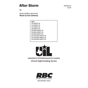 After Storm (2021)