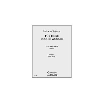 Fur Elise Boogie Woogie