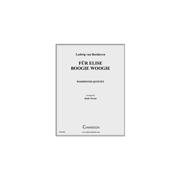 Fur Elise Boogie Woogie