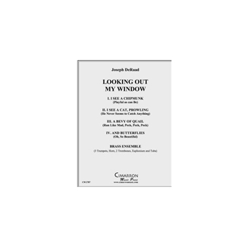 Looking Out My Window