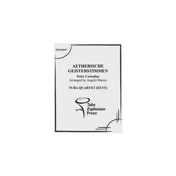 Aetherische Geisterstimmen