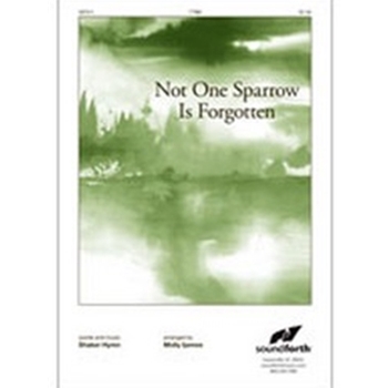 Not One Sparrow Is Forgotten
