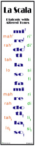 Solfeggio Banner Diatonic W/altered for Accessorie (Diatonic W/altered T)
