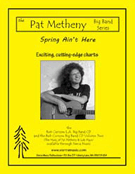 Spring Ain't Here by Metheny Pat - Curnow Bob - for Jazz Ensemble