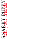 Tell Your Friends by Snarky Puppy for CD (CD / DVD)