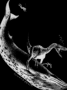 The Raptor Rides the Whale by Perkins Andrew David for Concert Band