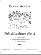 Tres Motetinos No 2