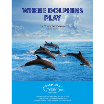 Where Dolphins Play
