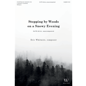 Stopping by Woods on a Snowy Evening