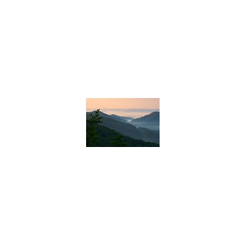 Kentucky Mountain Portraits